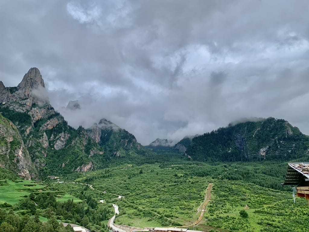 2021 Year-End Review and Reflection